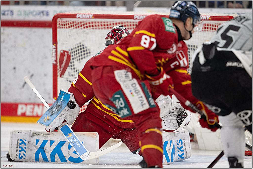 PENNY DEL 1; Düsseldorfer EG - Kölner Haie; Düsseldorf, 24.01.2025